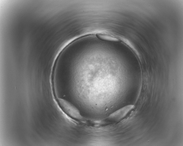 X0000066090959200603131200