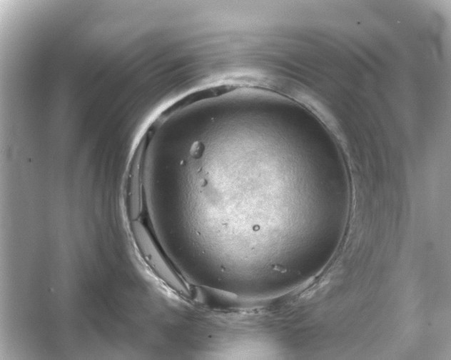 X0000066090960200603131200