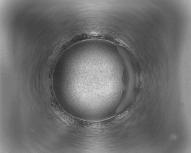 X0000066090961200603131159