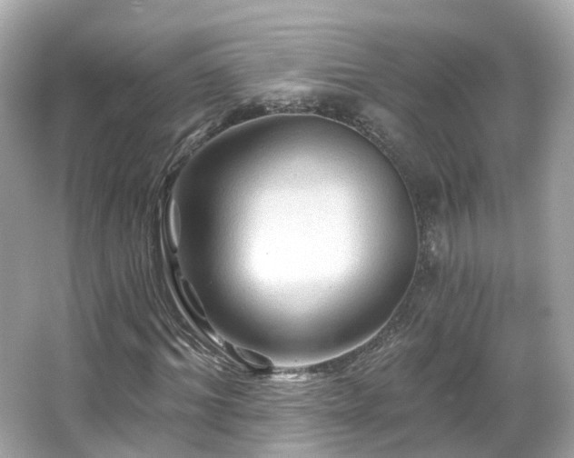 X0000066090964200603131159