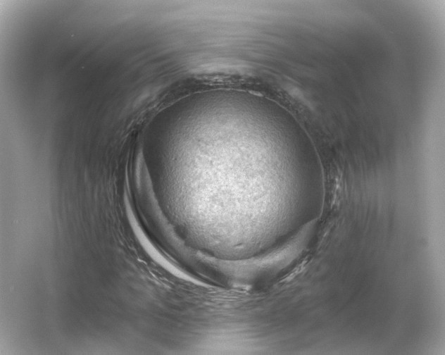 X0000066090965200603131159