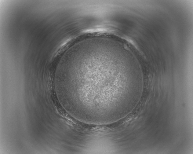 X0000066090967200603131159