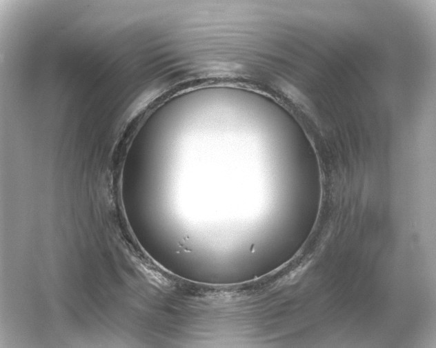 X0000066090970200603131159