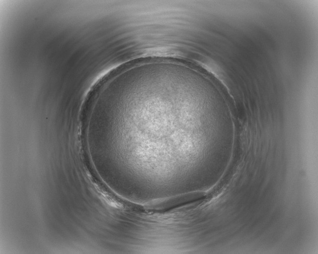 X0000066090971200603131159