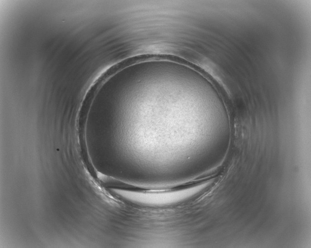 X0000066090972200603131159