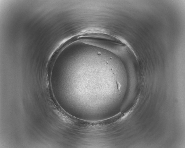 X0000066090973200603131159