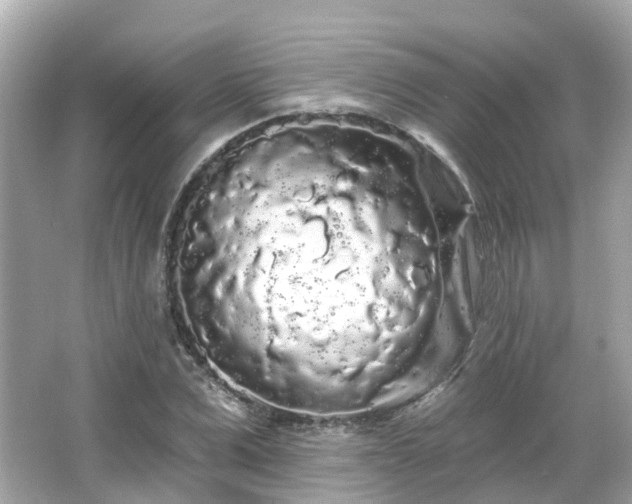 X0000066090975200603131159