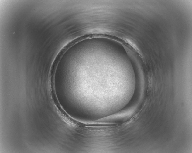 X0000066090976200603131159