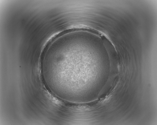 X0000066090979200603131159