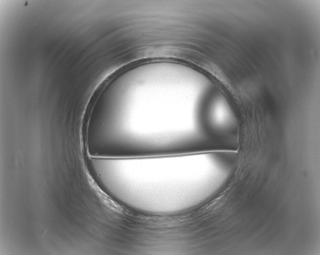 X0000066090980200603131159