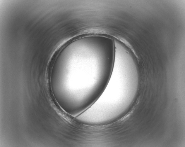 X0000066090981200603131159