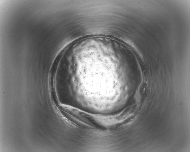 X0000066090983200603131159