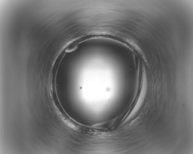 X0000066090984200603131159