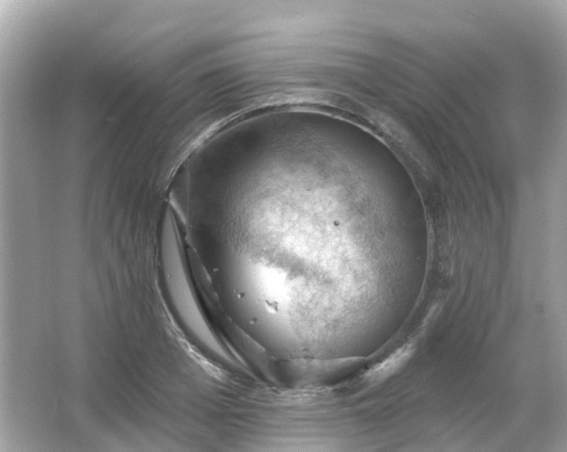 X0000066090985200603131159