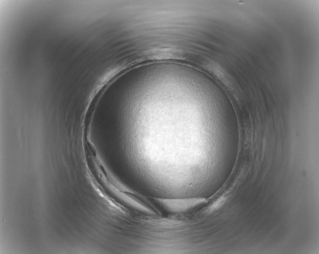 X0000066090986200603131159