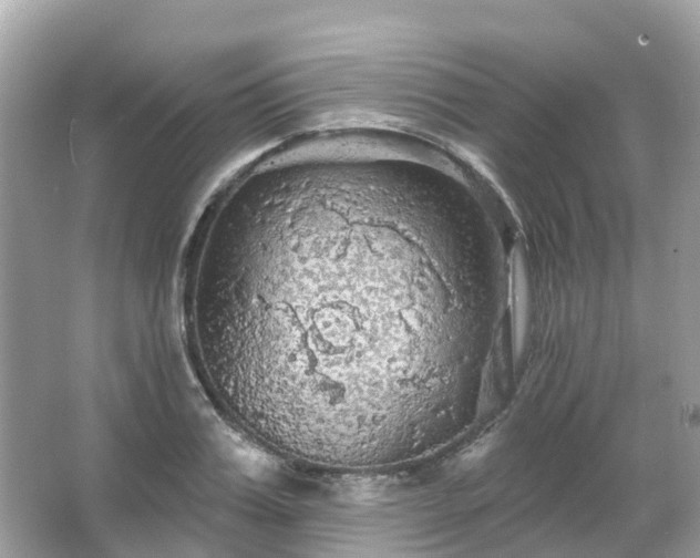 X0000066090987200603131159