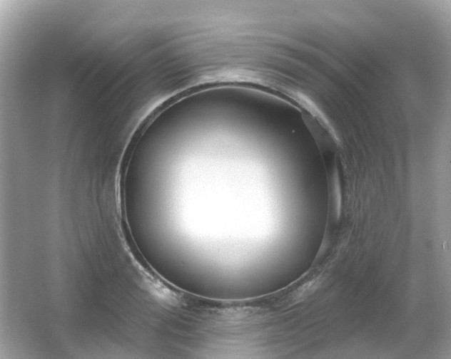 X0000066090988200603131159