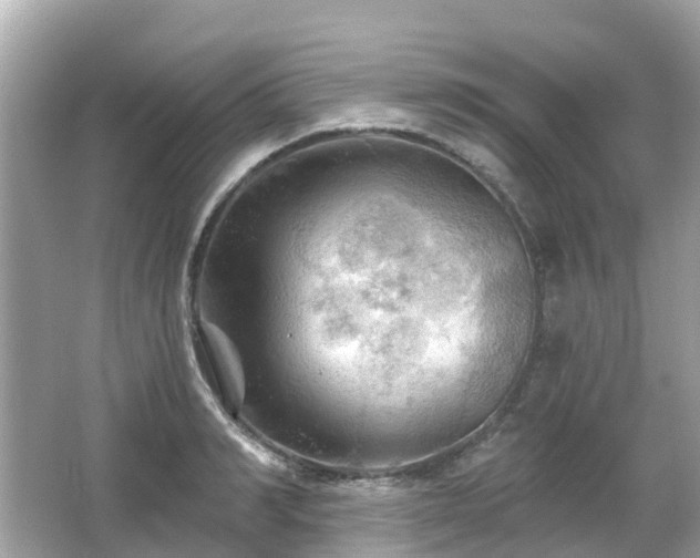 X0000066090990200603131159