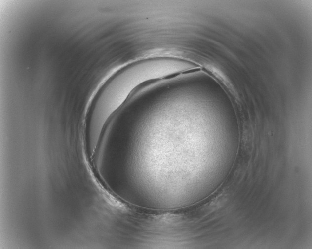 X0000066090992200603131159