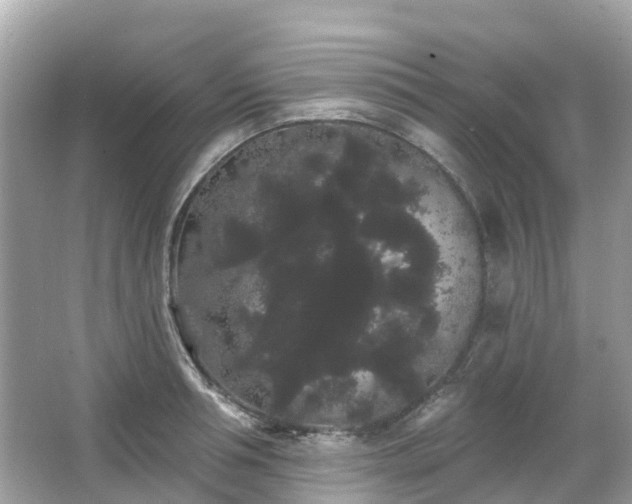 X0000066090994200603131159