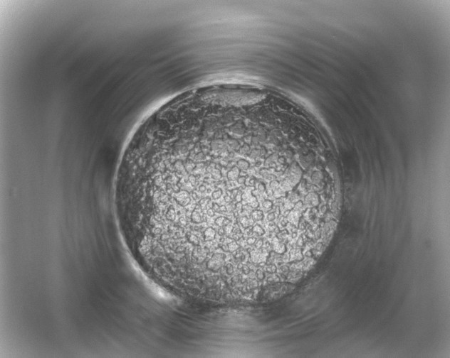 X0000066090995200603131159