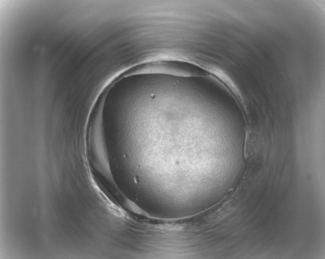 X0000066090996200603131159