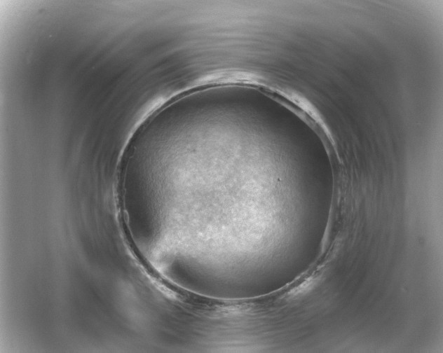 X0000066090997200603131159