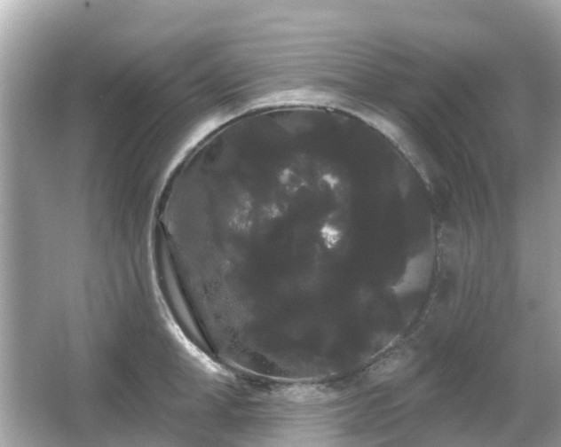 X0000066090998200603131159