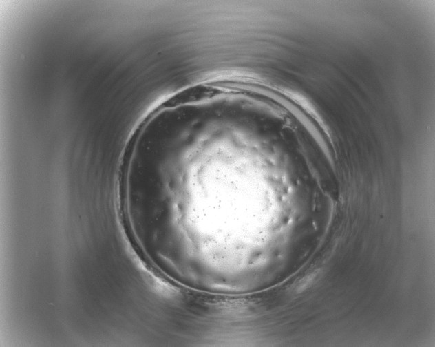 X0000066090999200603131159