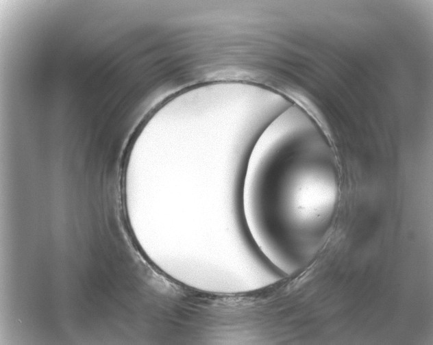 X0000066091000200603131159