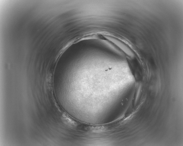 X0000066091001200603131159