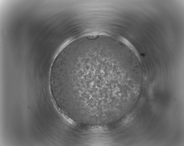 X0000066091002200603131159