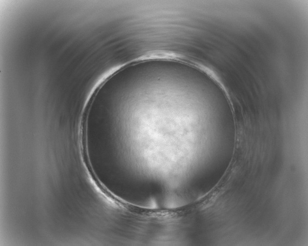 X0000066091003200603131159