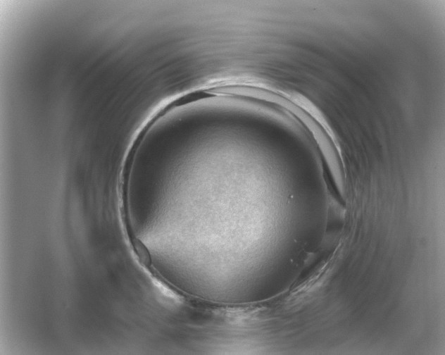 X0000066091005200603131159