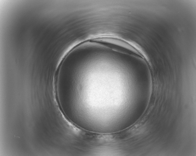 X0000066091006200603131159