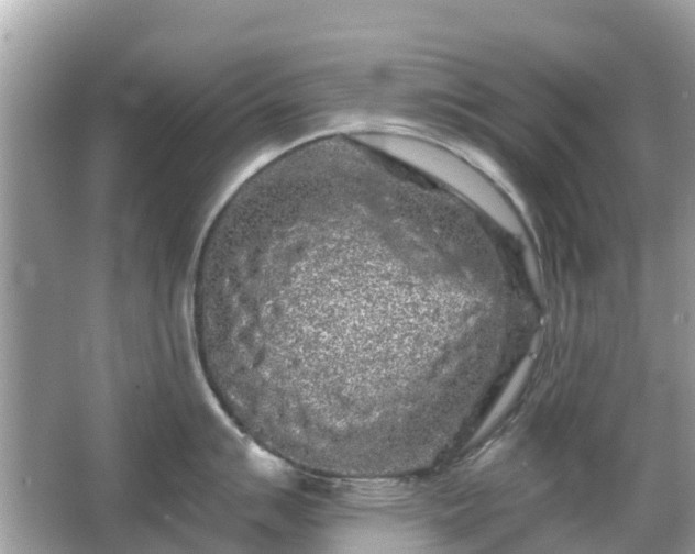 X0000066091007200603131159