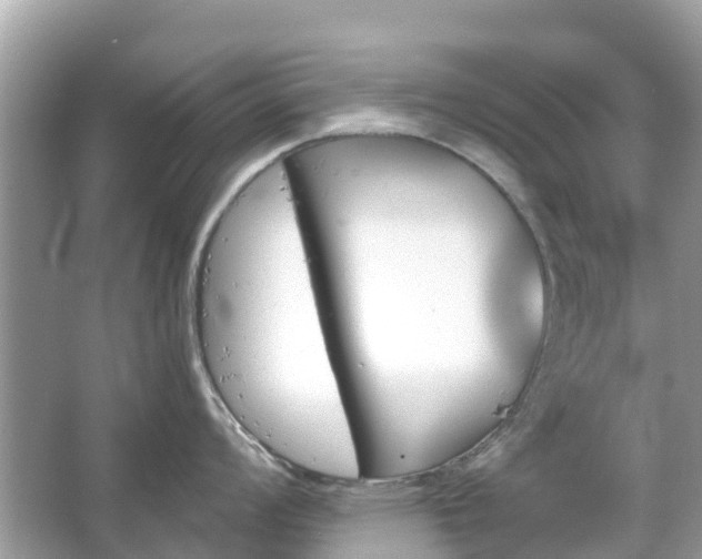 X0000066091008200603131159