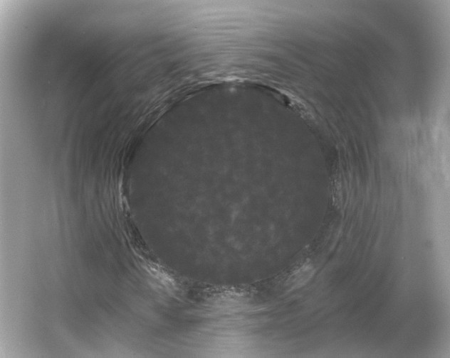 X0000066091010200603131158