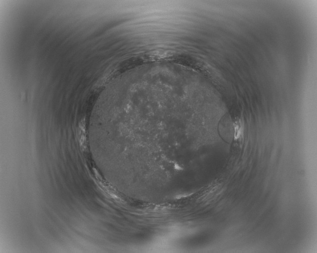 X0000066091011200603131158