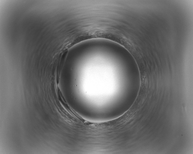 X0000066091012200603131158