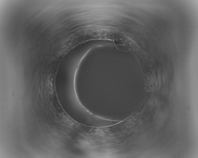 X0000066091013200603131158