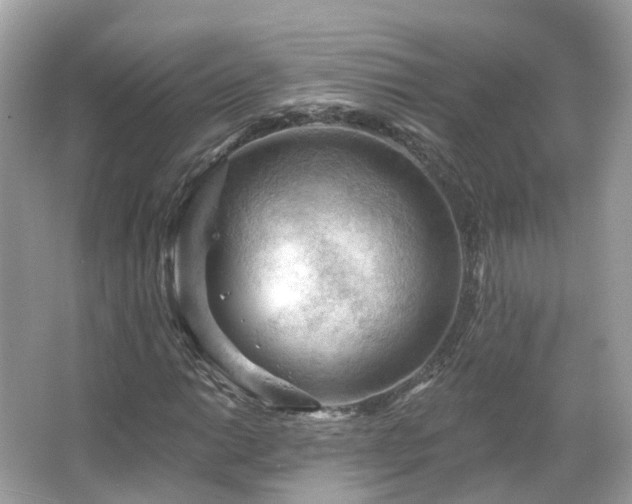 X0000066091014200603131158