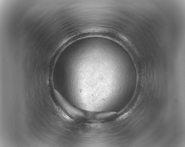 X0000066091017200603131158