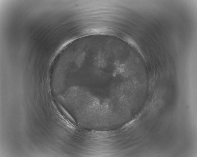 X0000066091019200603131158