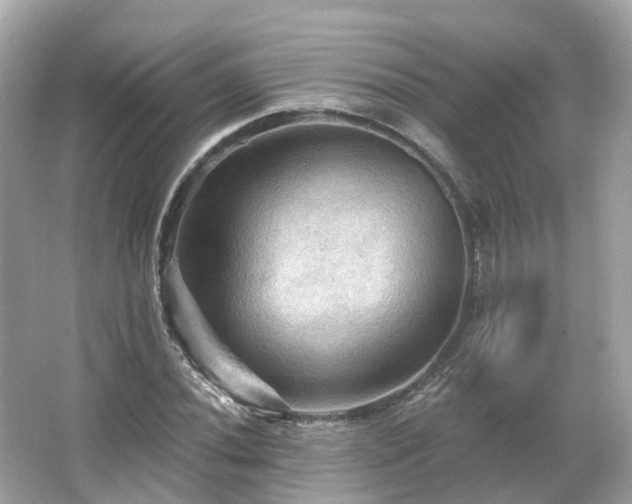 X0000066091020200603131158