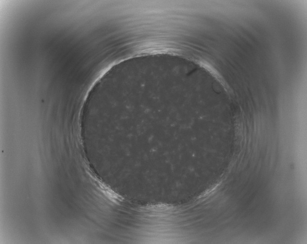 X0000066091023200603131158