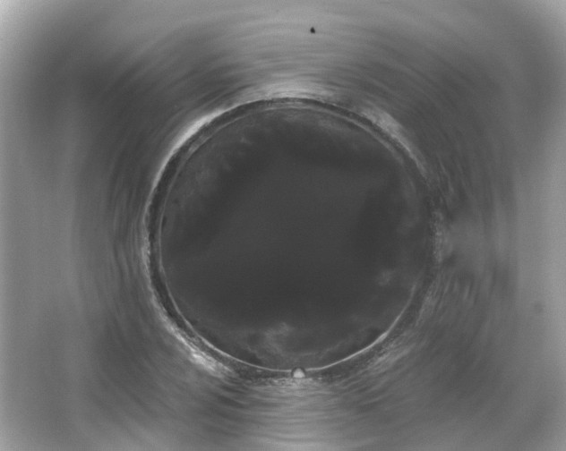 X0000066091024200603131158