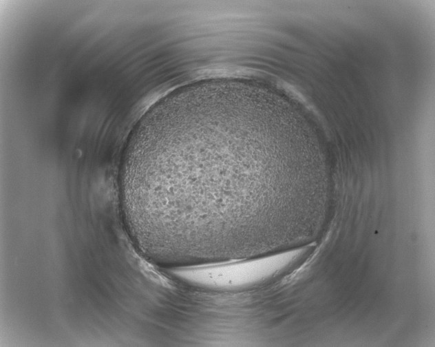 X0000066091025200603131158