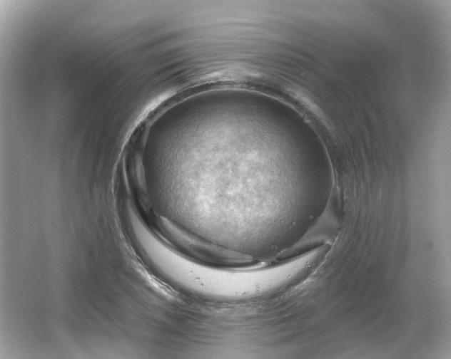 X0000066091026200603131158