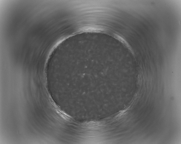 X0000066091027200603131158